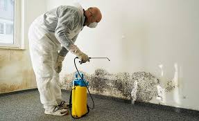  Highland, MD Mold Remediation Pros