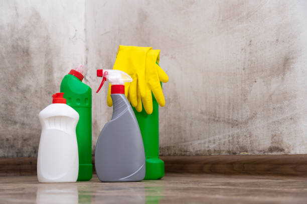 Highland, MD Mold Remediation Company